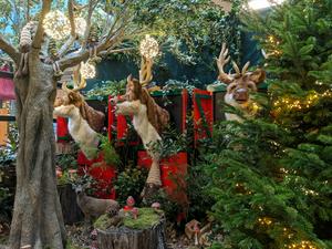 A close-up Christmas display featuring three faux deer busts emerging from red-paneled frames, 
                    flanked by lit evergreen trees and a string-light-covered bare tree. 
                    Small gnome figures and decorative mushrooms are visible near the base.