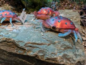 Crabs.. what's with their eyes?