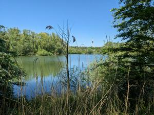 A view over the lake, with the Arnhem TV tower in the background