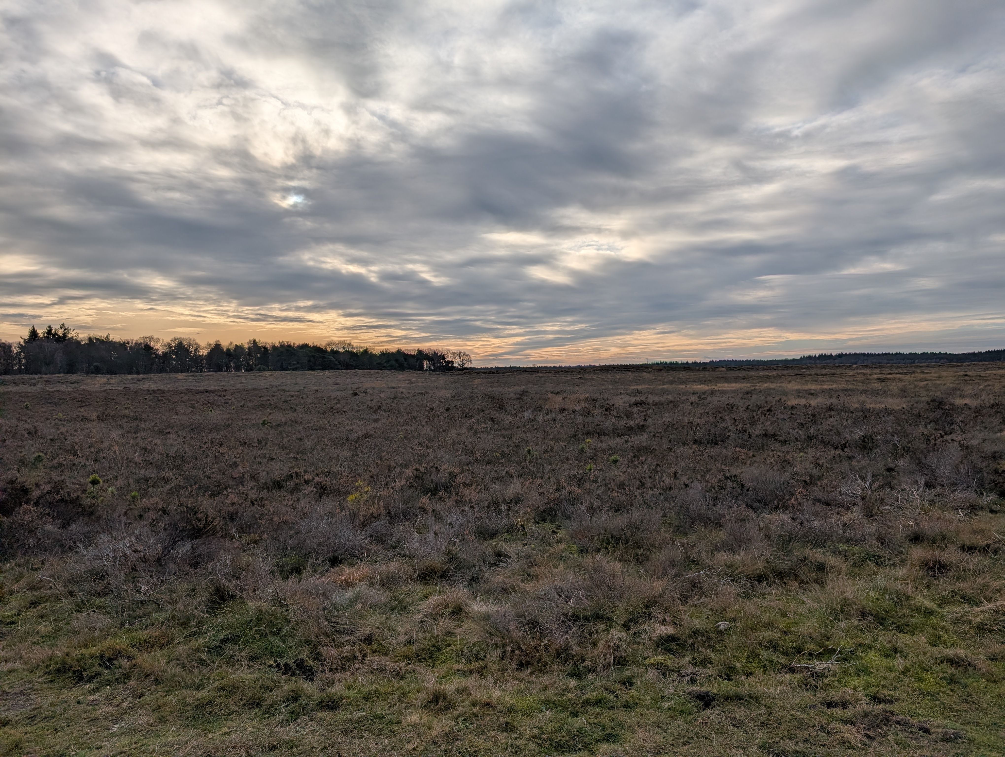 Golden hour on the heathland, the ground is very brown due to winter, the horizon seems green thanks to the pines and the sky is a gradient from orange to blue, with full, but patchy, cloud cover