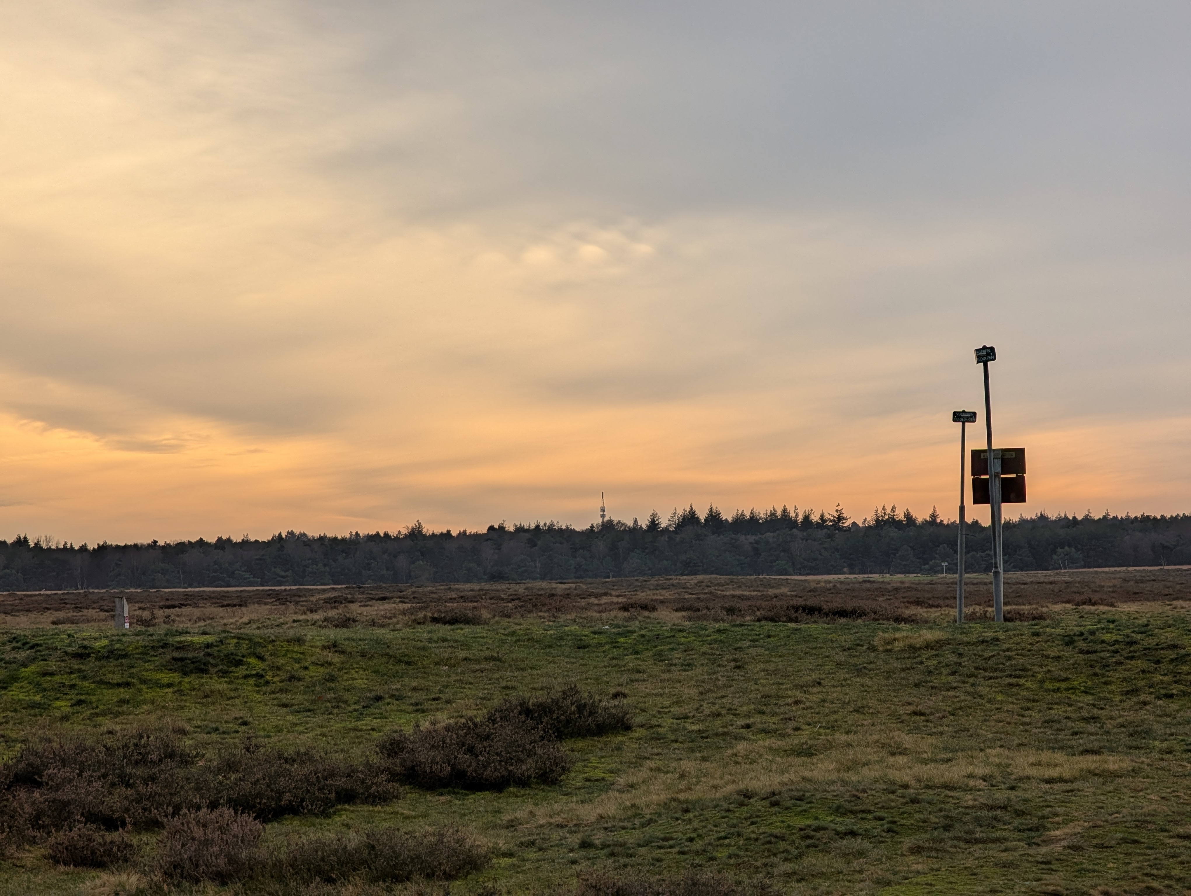 From front to back: A grass field, two poles, brown wilted heath, a pine tree forest edge and cloudy sky in shades of orange and blue.