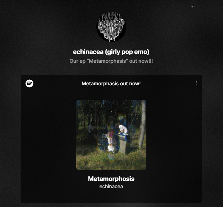 Screenshot of linktree page for echinacea with the text "echinacea (girly pop emo) Our ep “Metamorphasis” out now!!!"