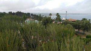 Cacti, mountains, seas.. where am I