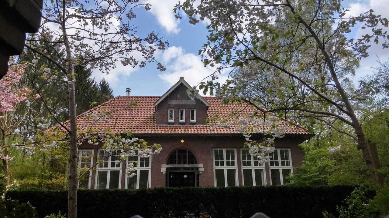 St. Jozefschool, a building located pretty much in the forest, framed by cherry blossoms. Used to be a school, is now just a residence.