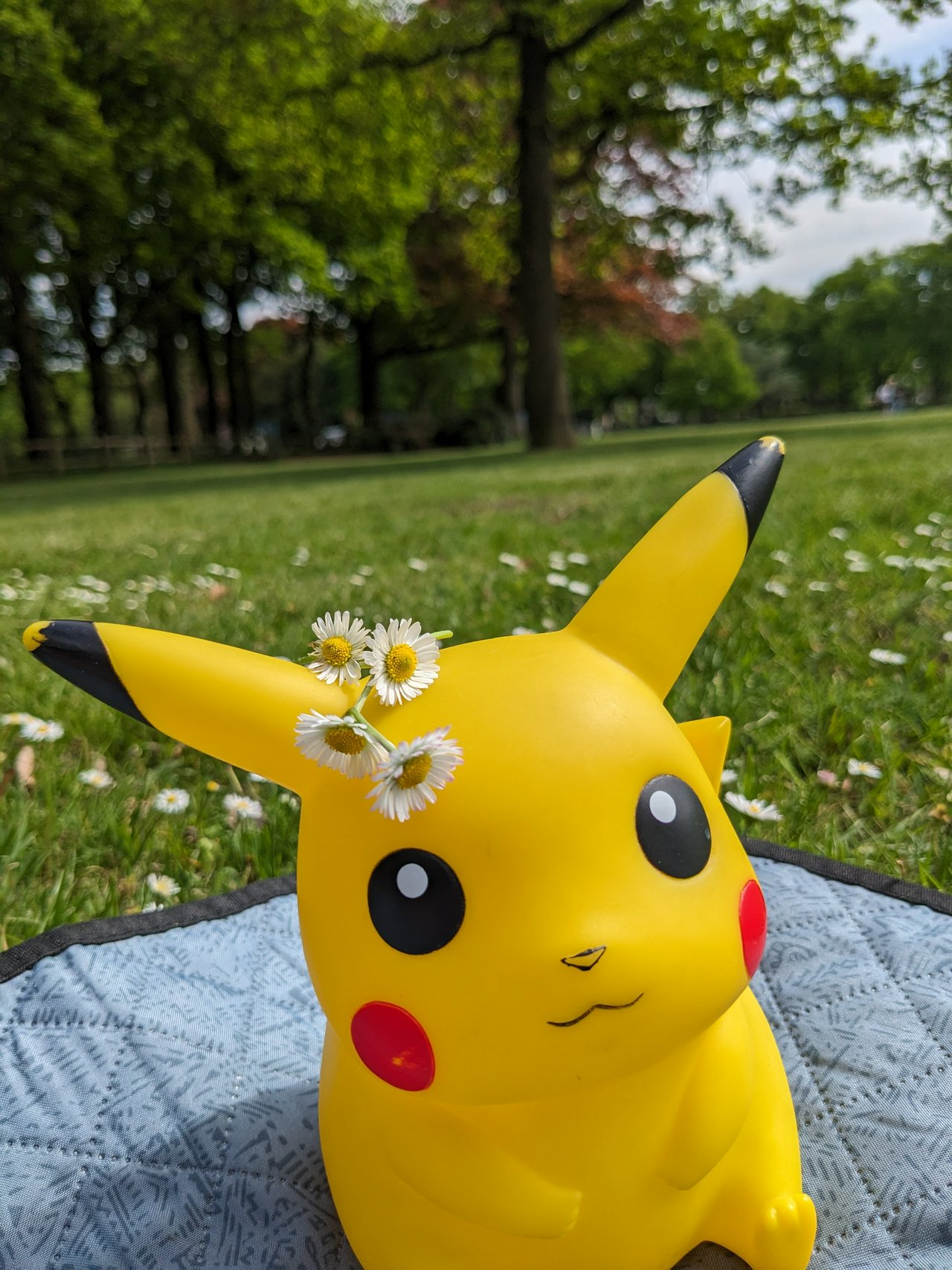 Pikachu in the park, wearing the intial strands of a daisy crown