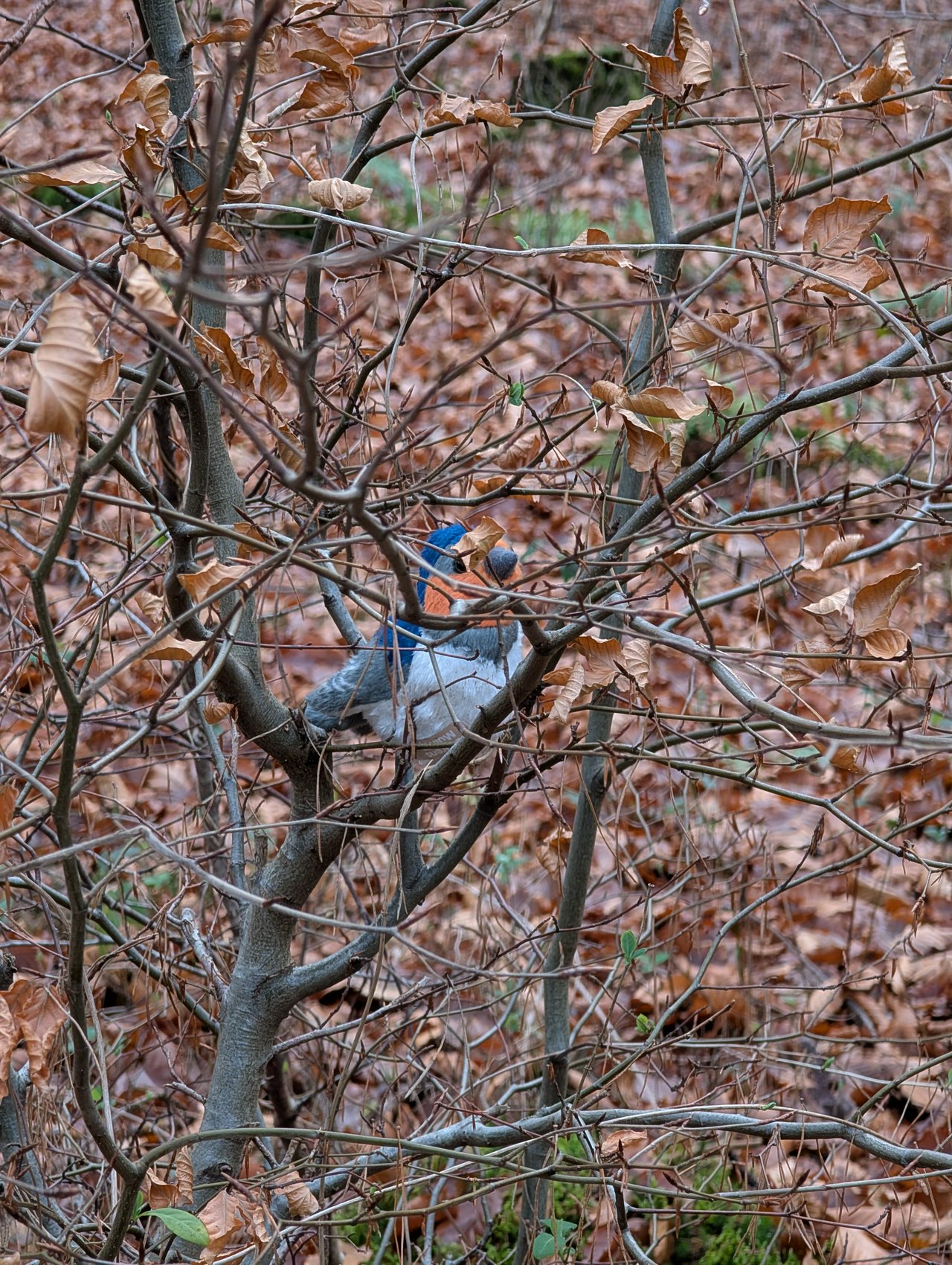 A plushy robin in a bush