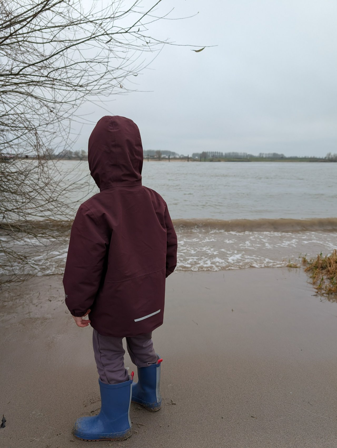 Toddler vs tide