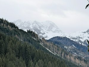 A snow covered mountain obscured by clouds or fog, with pine trees in various shades of green, creating a moody atmosphere of white, greys and greens.