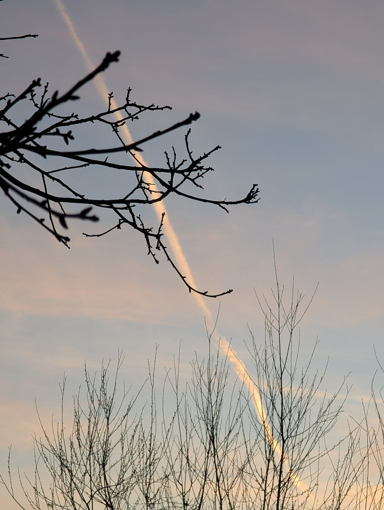 Contrails and sunsets