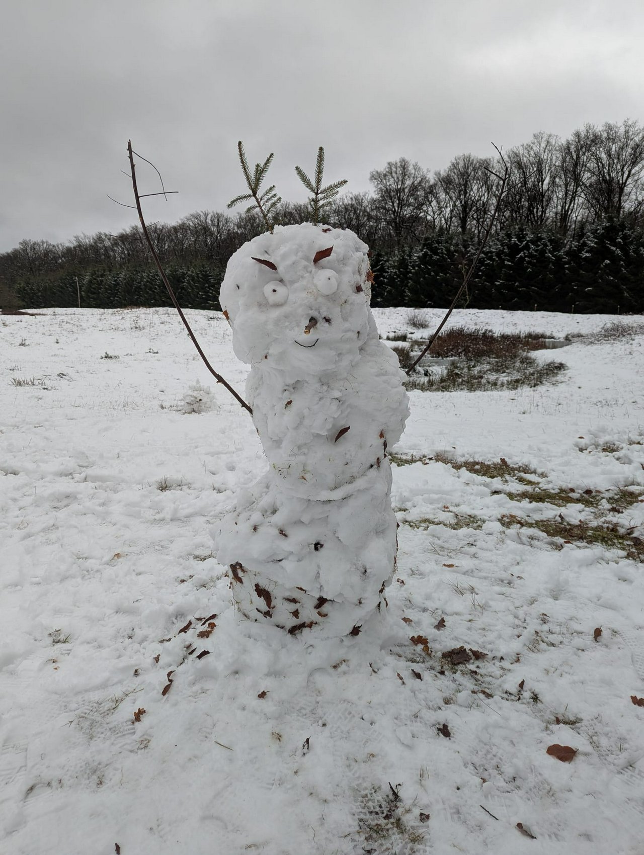 A snowman made from suboptimal snow, covered in leaves that were gathered during the rolling process, sticks as arms and two pine twigs as some kind of antenna.