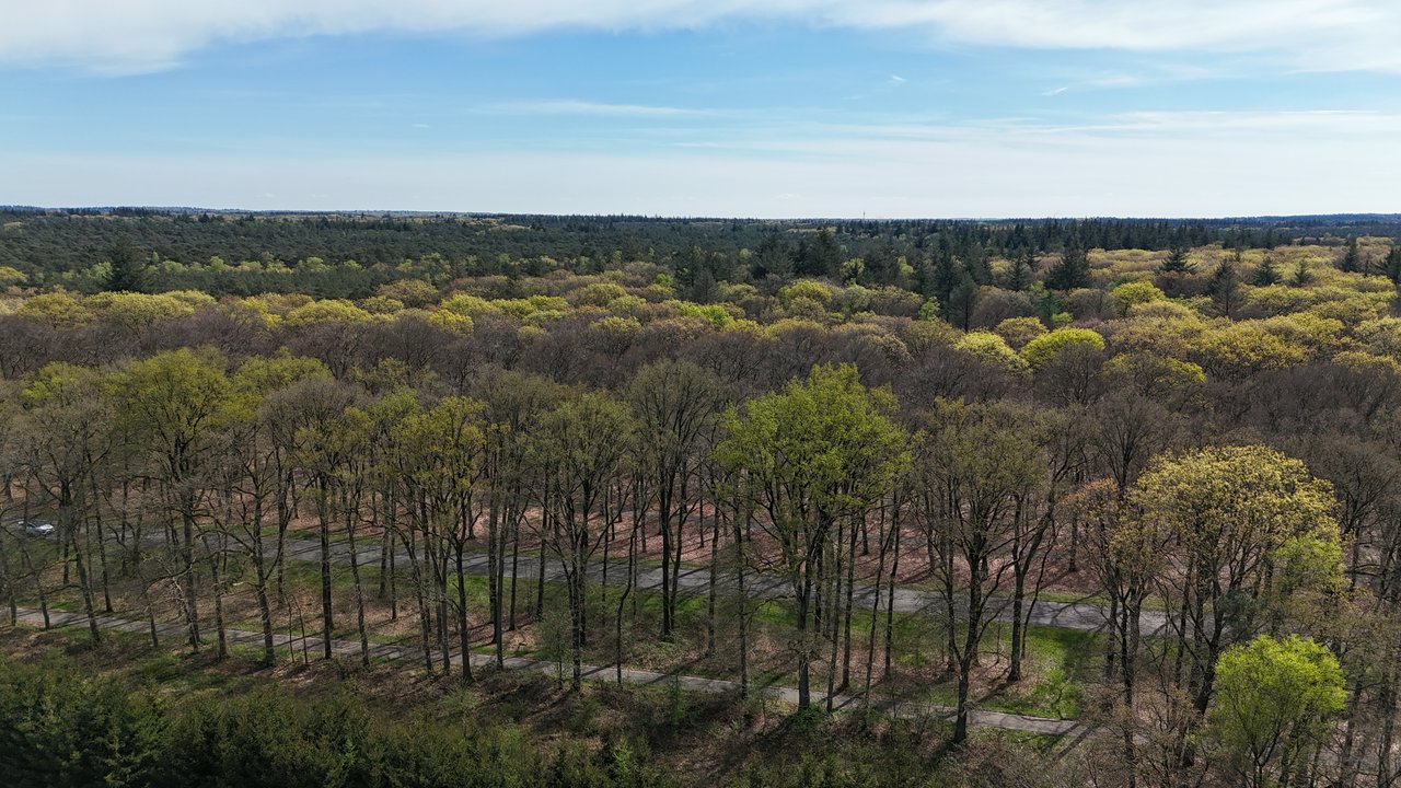 Several shades of green, as spring is on its way.. 🌲