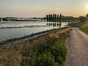 Very high water at the Rhine, near Ochten.