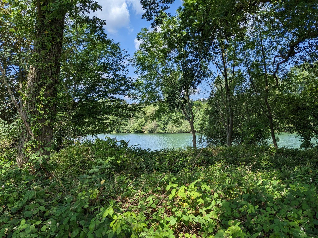 One of the lakes near Kessel, part of the Niers river system

A hike near the town of Kessel, the river Niers and the Graefenthal cloister.