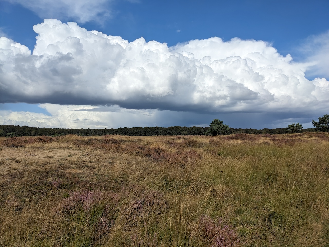 Light, but dark, clouds over Oud-Reemst