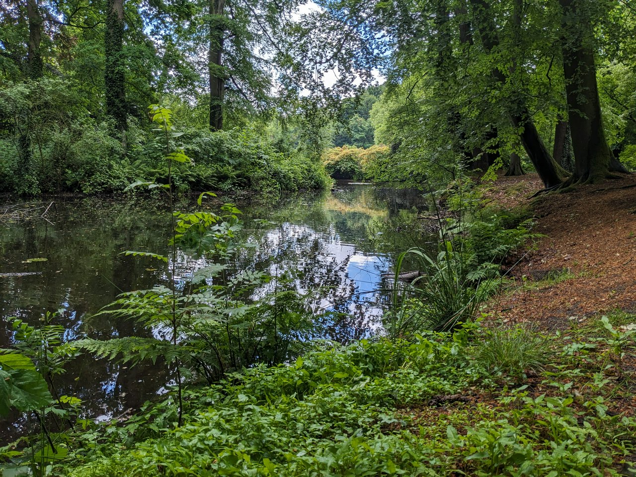 Garden of Castle Renswoude has a lot of water