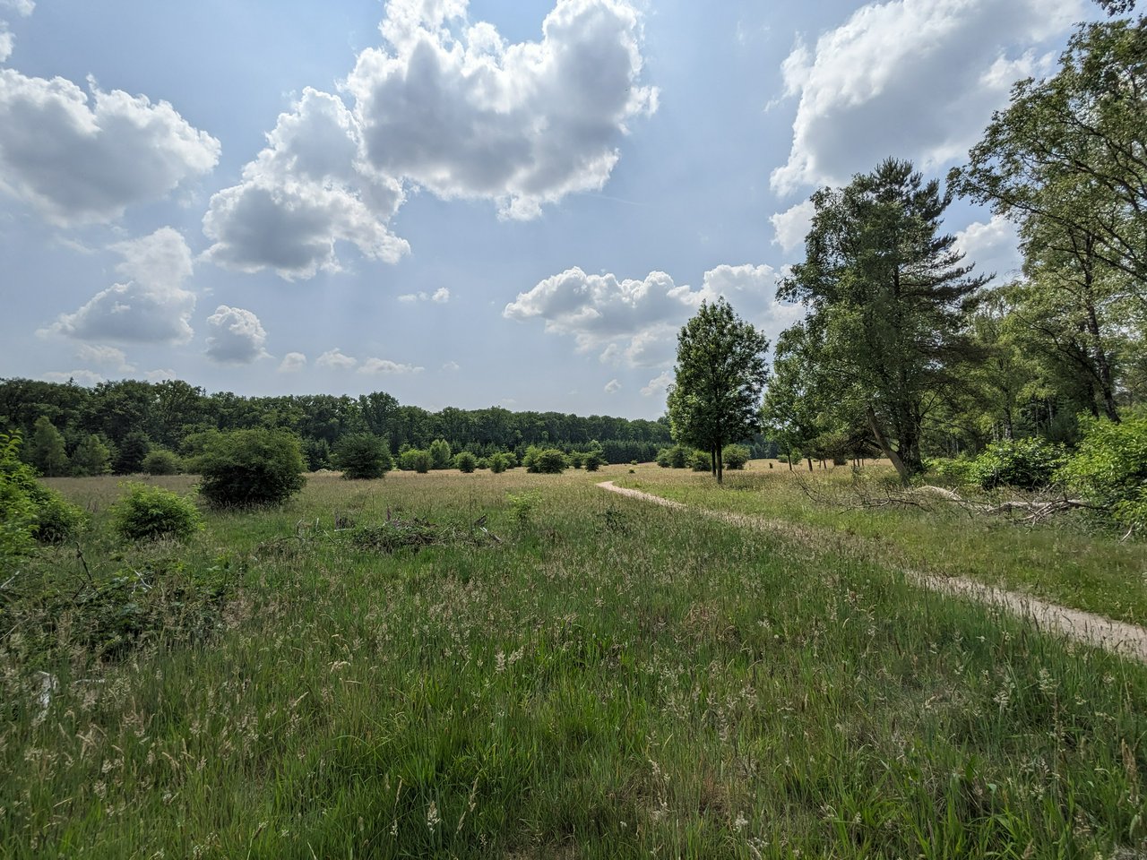 Lovely day in June