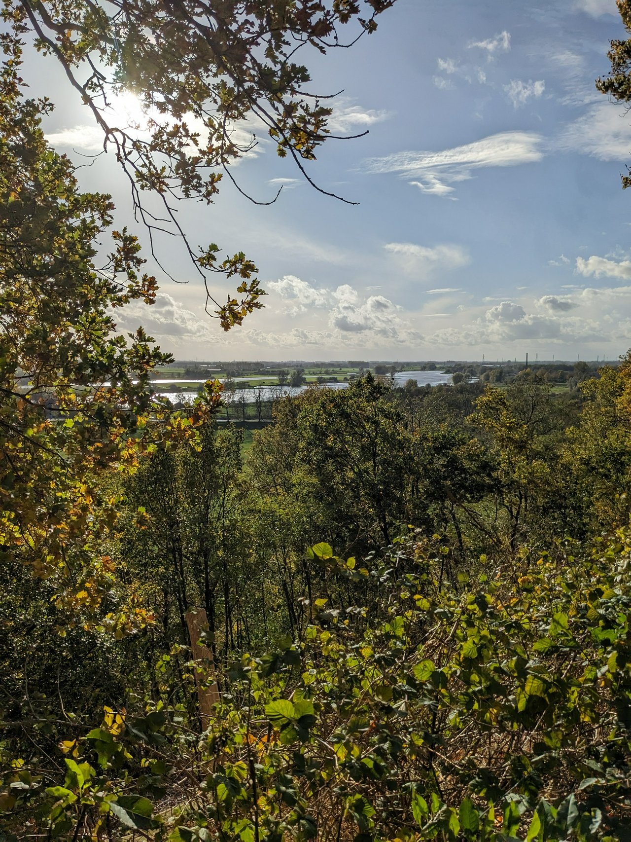 Looking across the Rhine