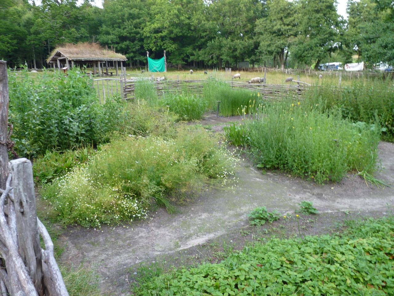 Bronze Age farm replica