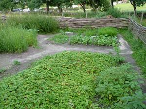 Bronze Age farm replica