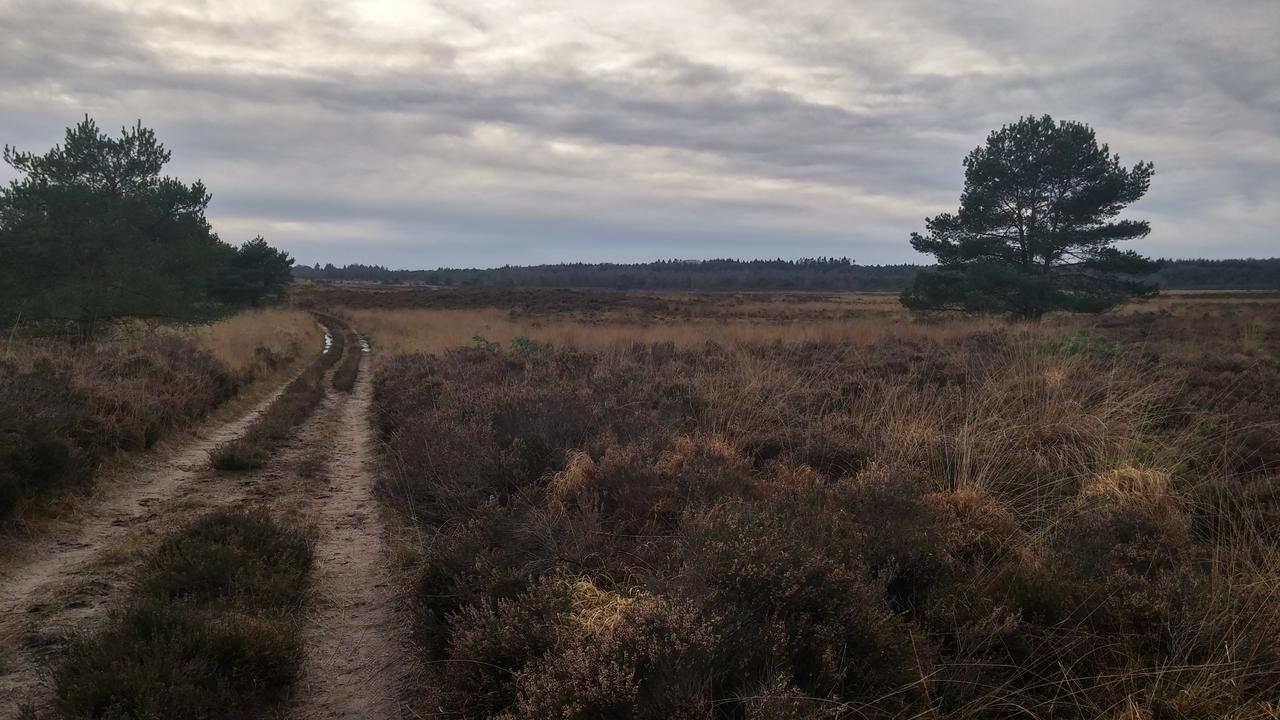 Ginkelse Heide