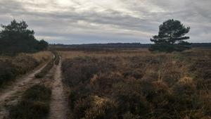 Ginkelse Heide