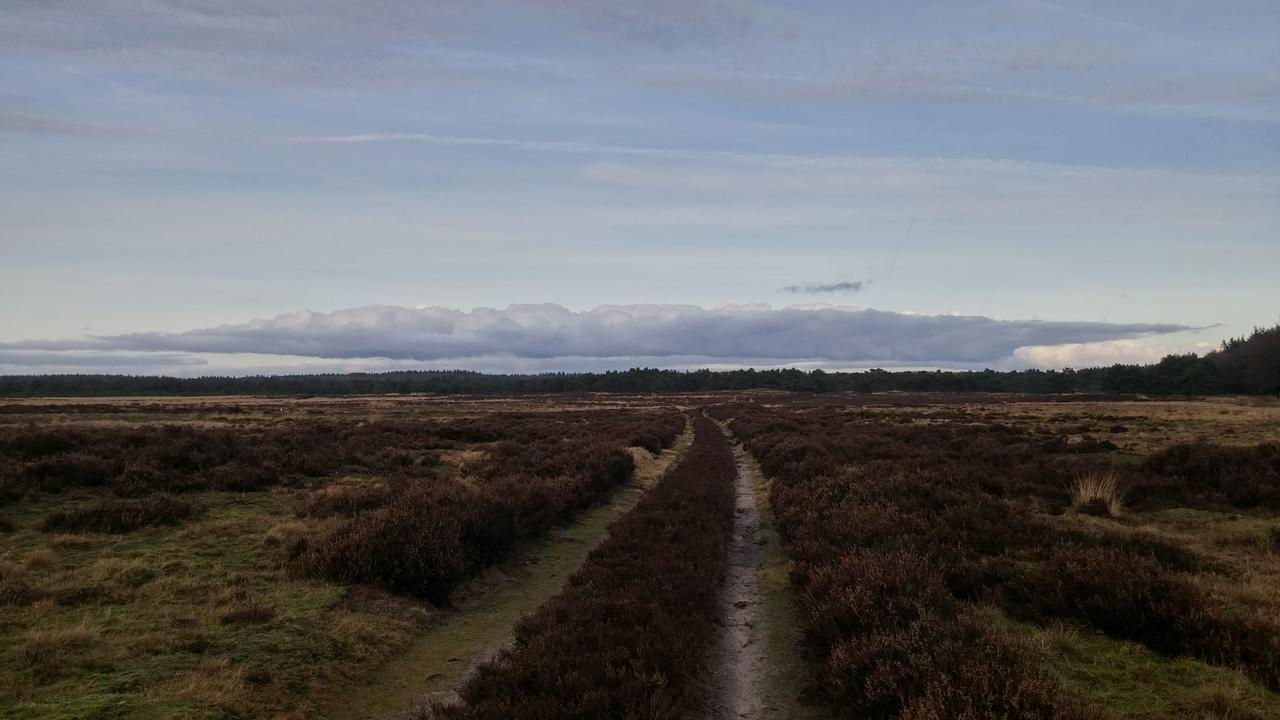 Ginkelse Heide