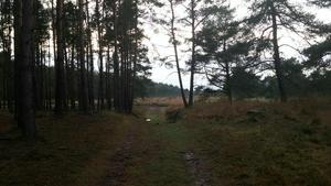 Ginkelse Heide