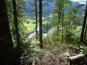 Hike to the top of Tvindefossen waterfalls