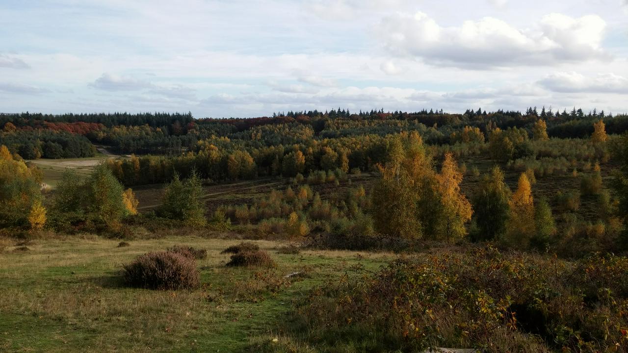Kwintelooijen