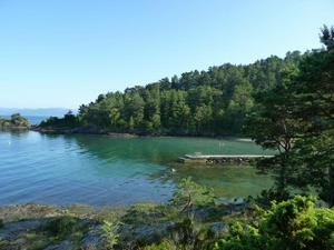 Little swimming bay next to Sponavik camping in Stord