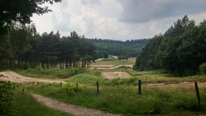 MTB/MX track at Kwintelooijen