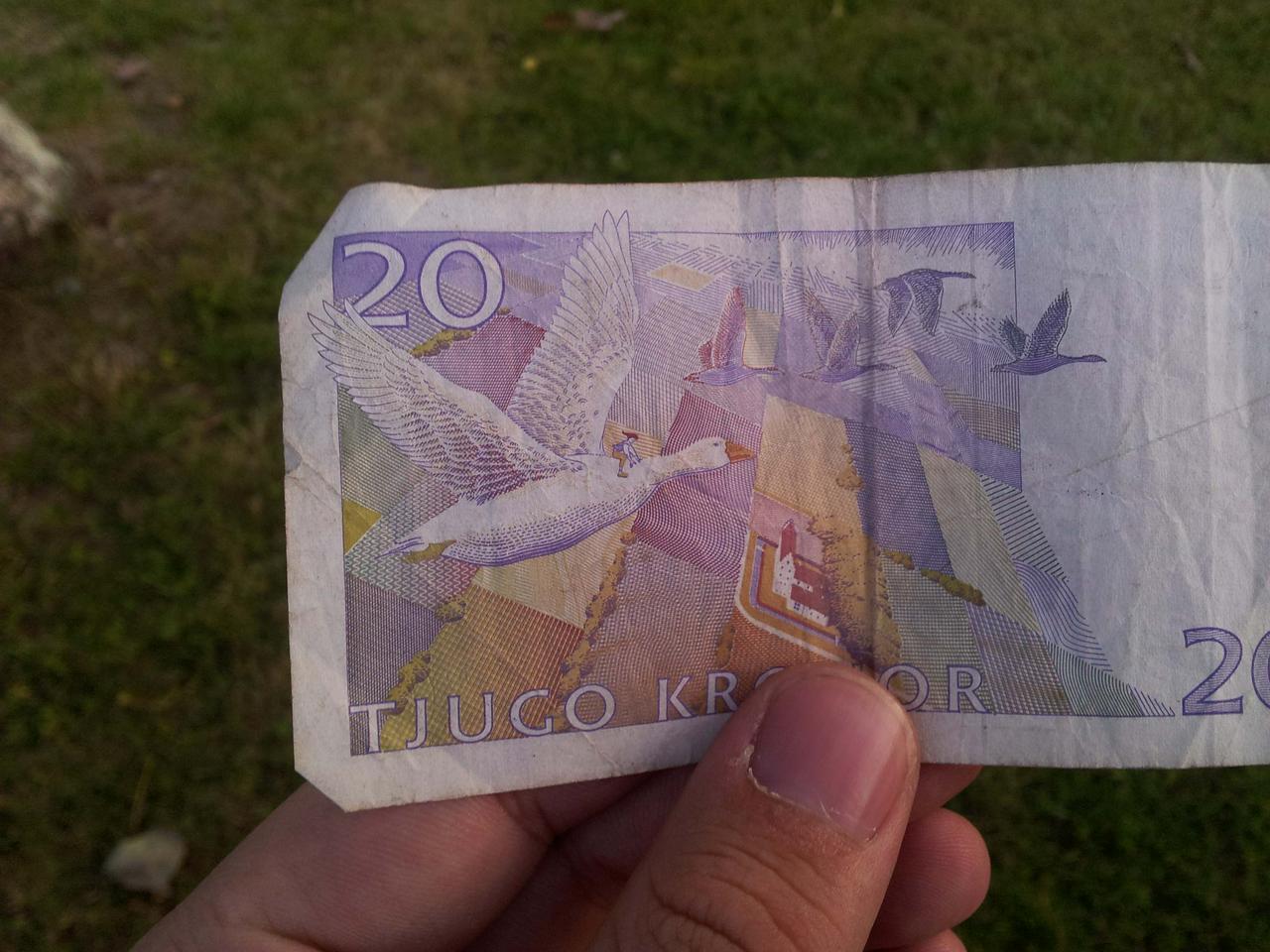 Nils Holgersson on the 20 kronor bill in Sweden