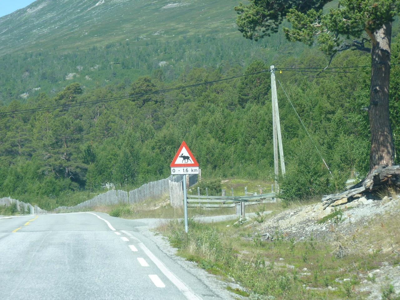 On the road to Geiranger