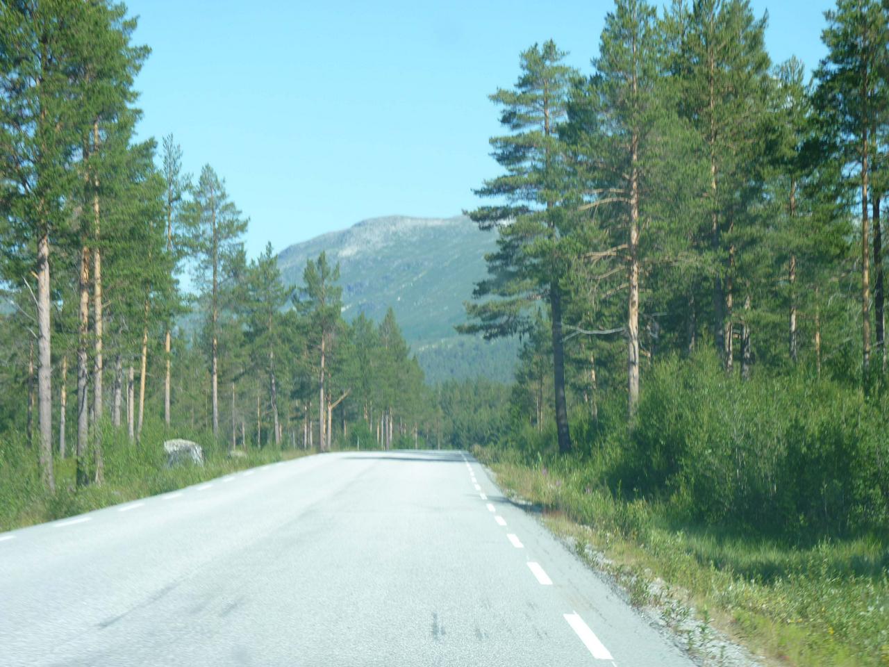 On the road to Geiranger