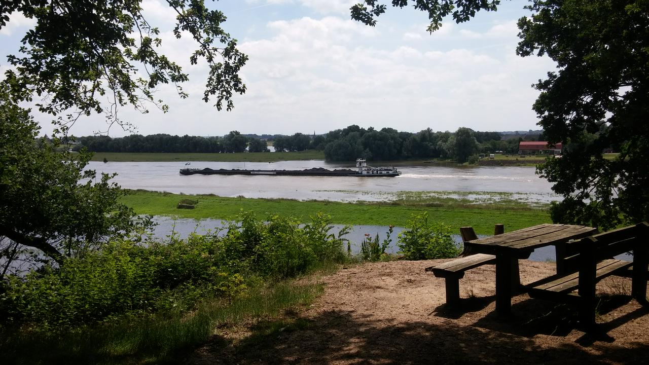 (Rhine)barge on the Nether-Rhine near Renkum