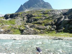 Road to Trollstigen