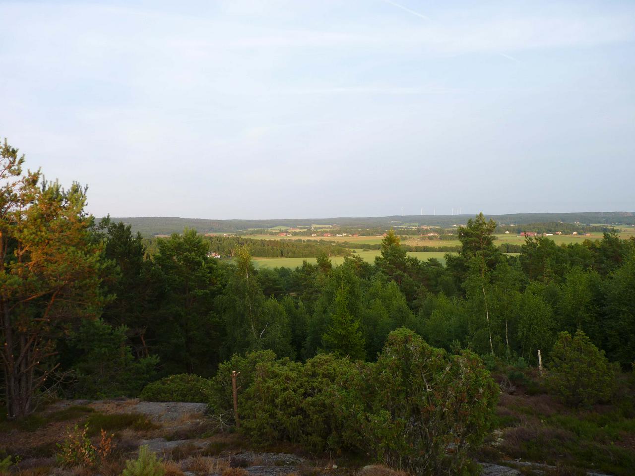 Rock carvings in Tanum