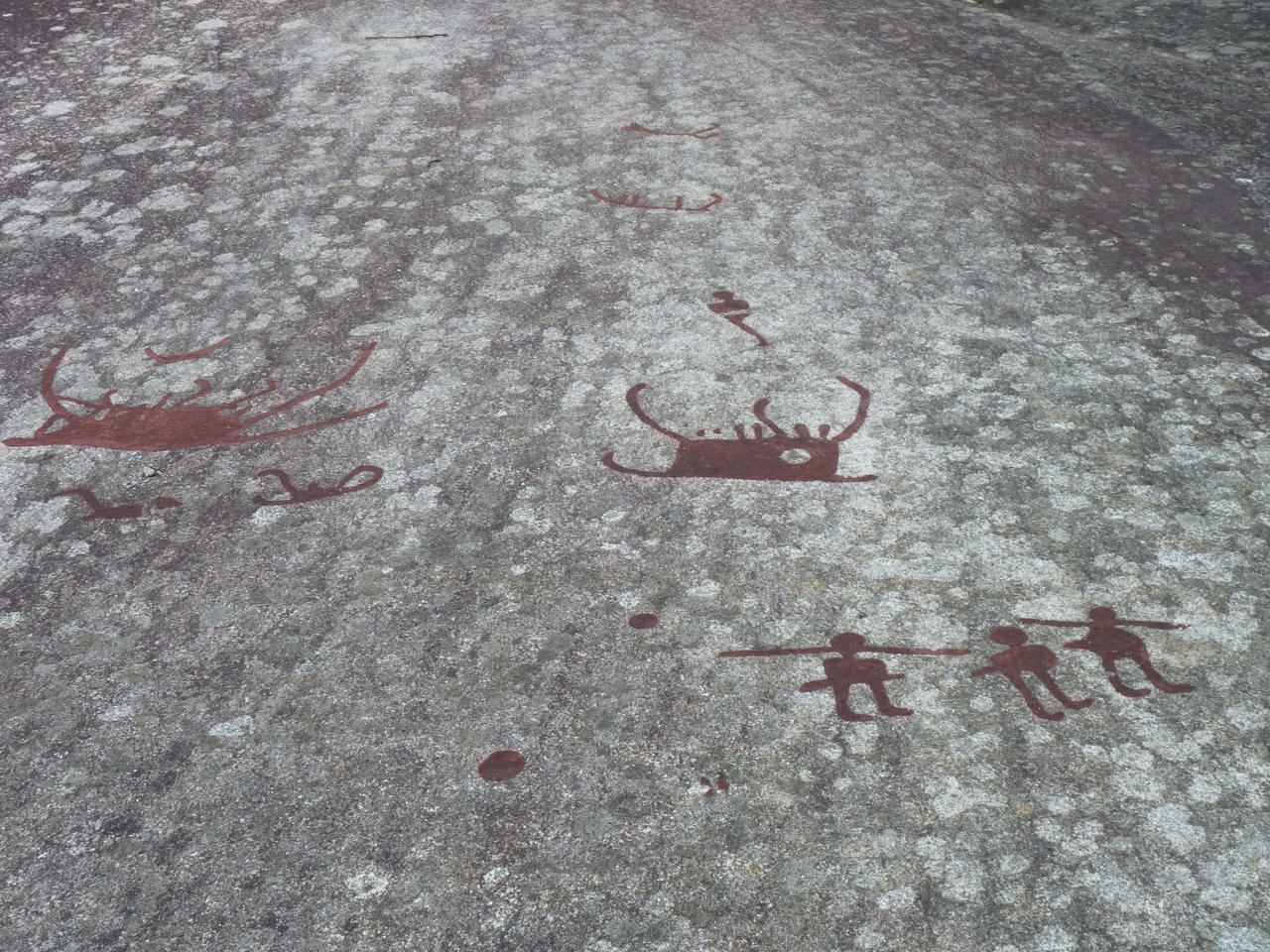 Rock carvings in Tanum