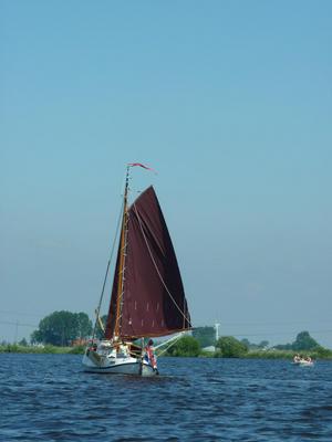 Sailing through the calm breeze