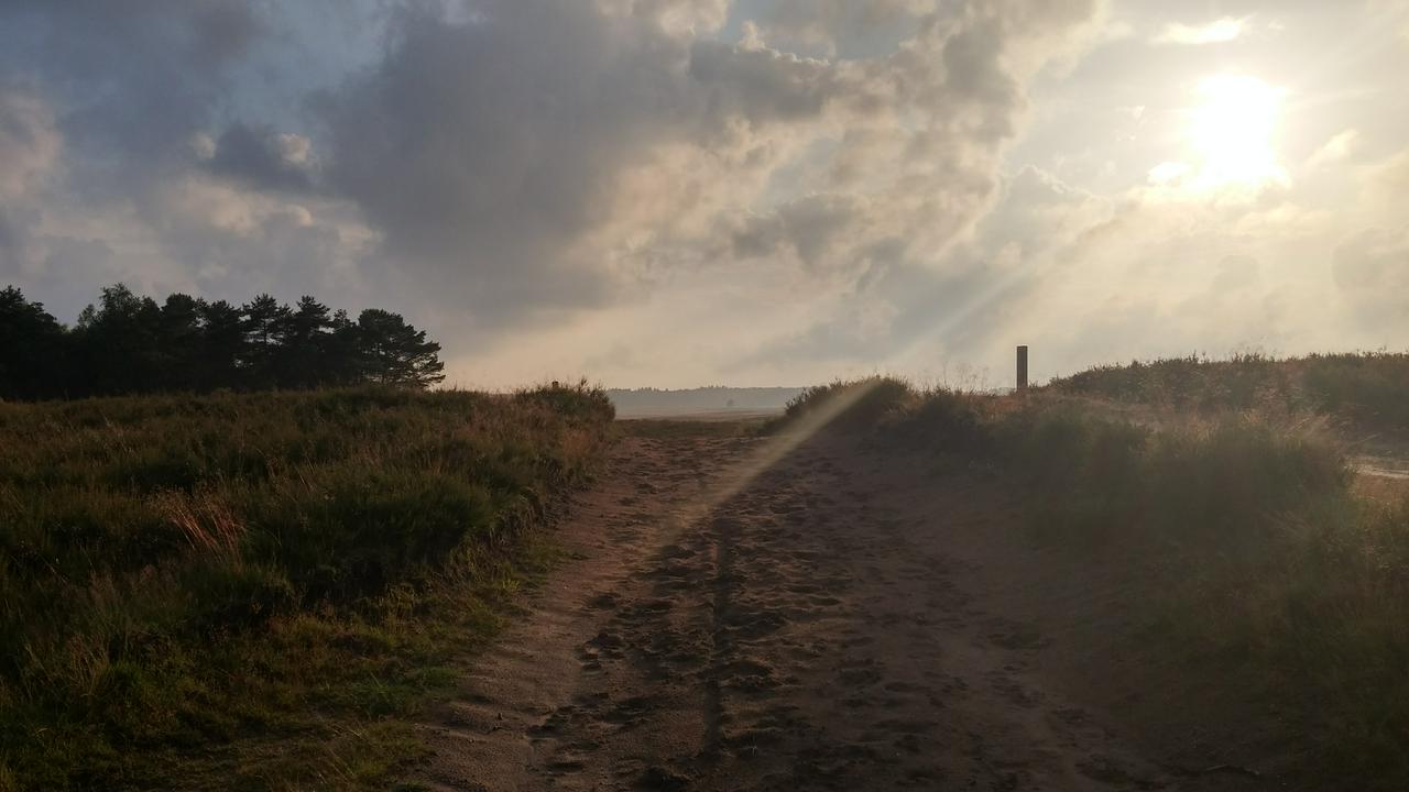 Setting sun near the top of a hill on the Ginkelse heide