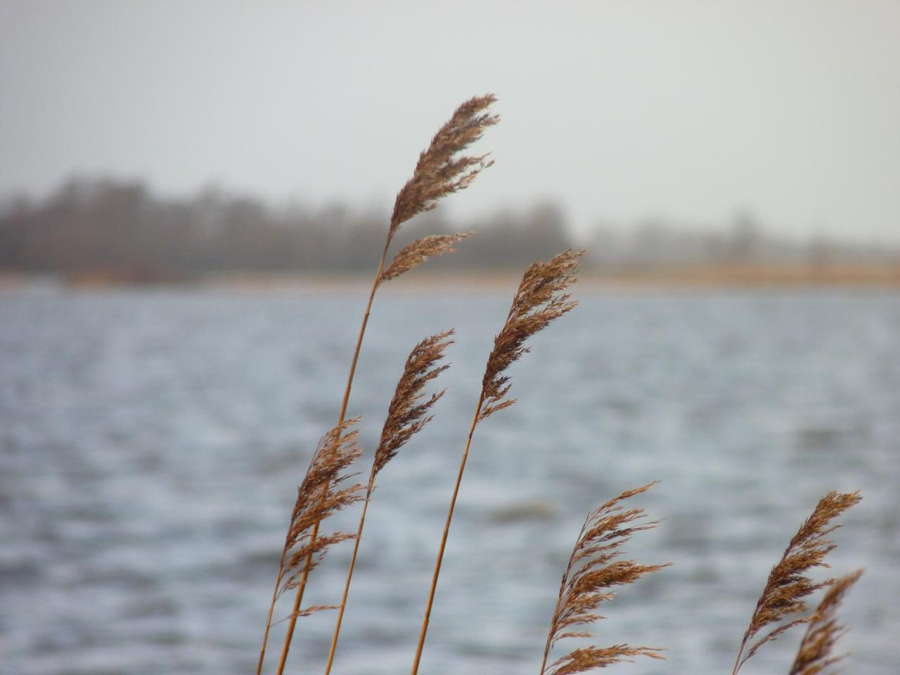Snitsermar, Fryslan