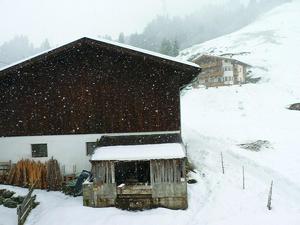 Snowy day at the barn