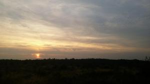 Sunset and birds over Ginkelse Heide, Netherlands