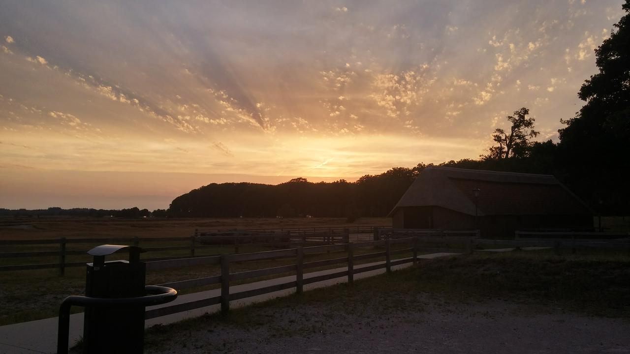 Sunset at Ginkelse Heide