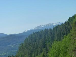 Top of Tvindefossen waterfalls