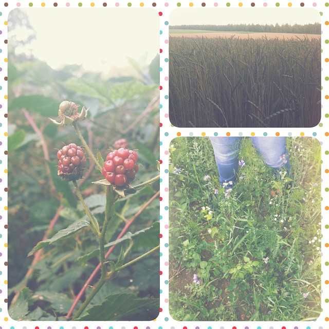 Summer walk in the forest. Eating its fruits and touching its wheat.