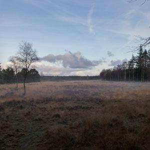 Some weird fog across a miniature valley like field.